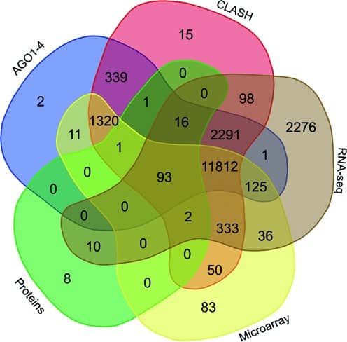 A legion of potential regulatory sRNAs exists beyond the typical microRNAs microcosm.
